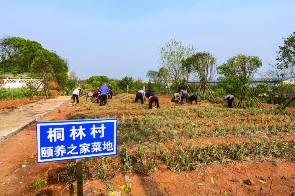 1610416580c5273a.png 1610416580c5273a.png