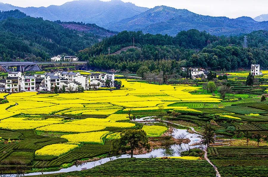 微信圖片_20210202104201.jpg 微信圖片_20210202104201.jpg